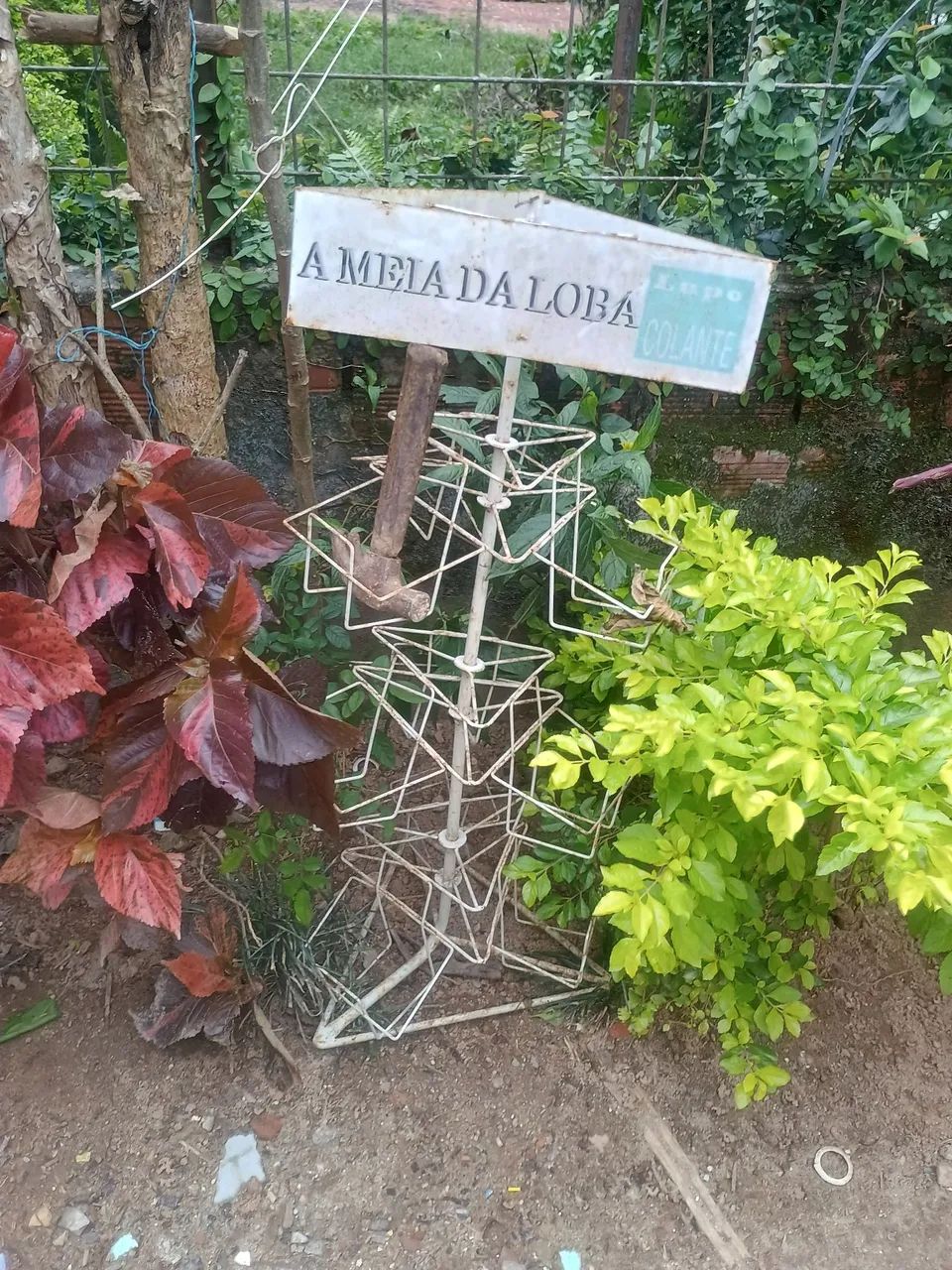 Expositor Sacolão / Mercearia / Hortifruti  - Foto 5