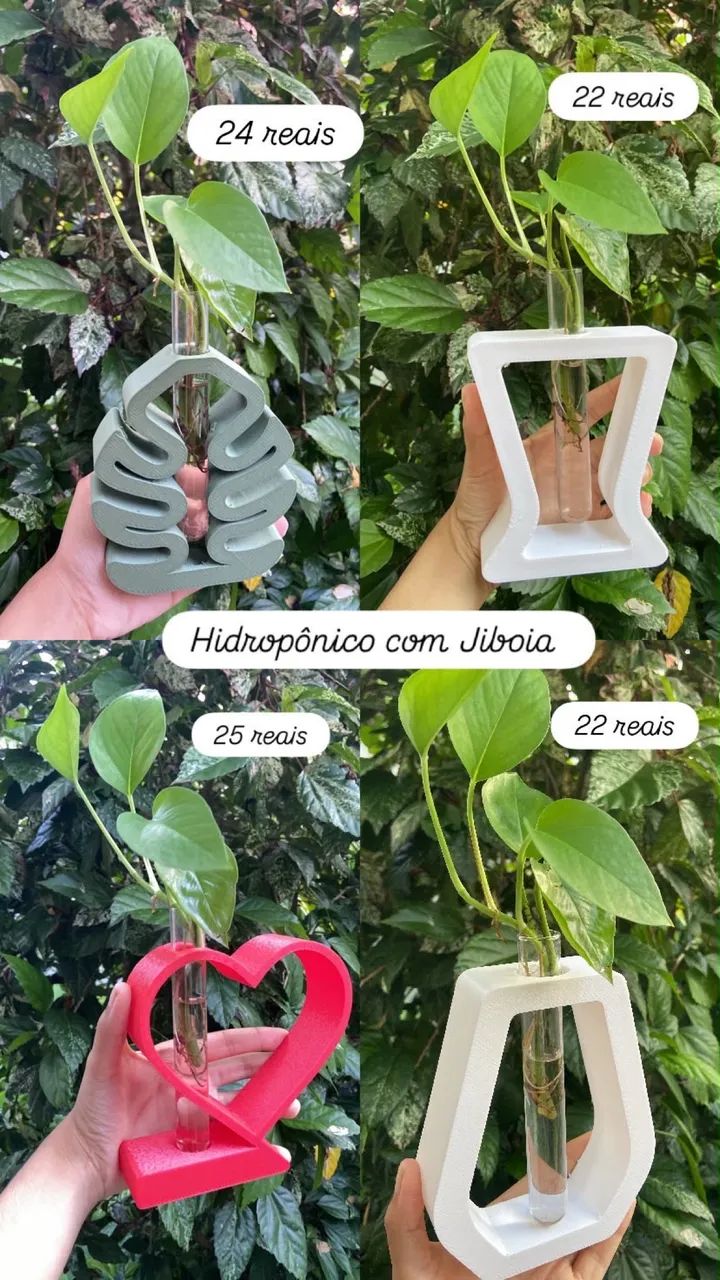 Plantas  - Foto 3
