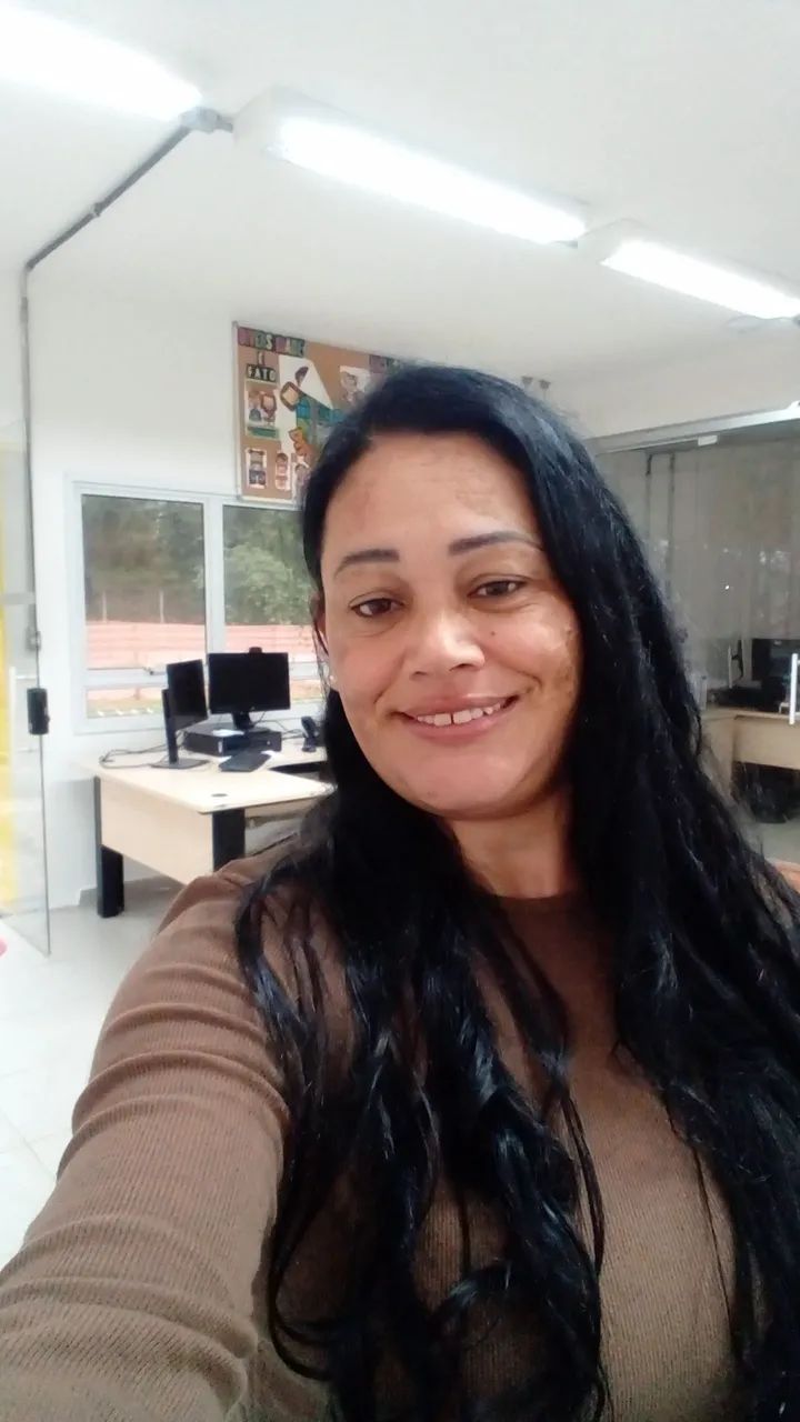 Diarista 