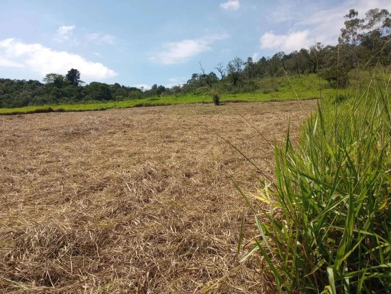 Lotes de 1000m² em São Roque, Próximo a Mairinque  Ideal para Chácara - Foto 3