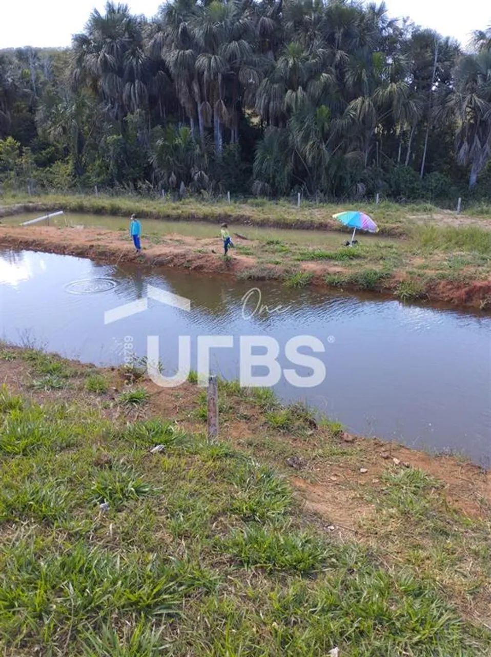 0 - Fazenda 4 quartos, sendo 2 suítes - Foto 2