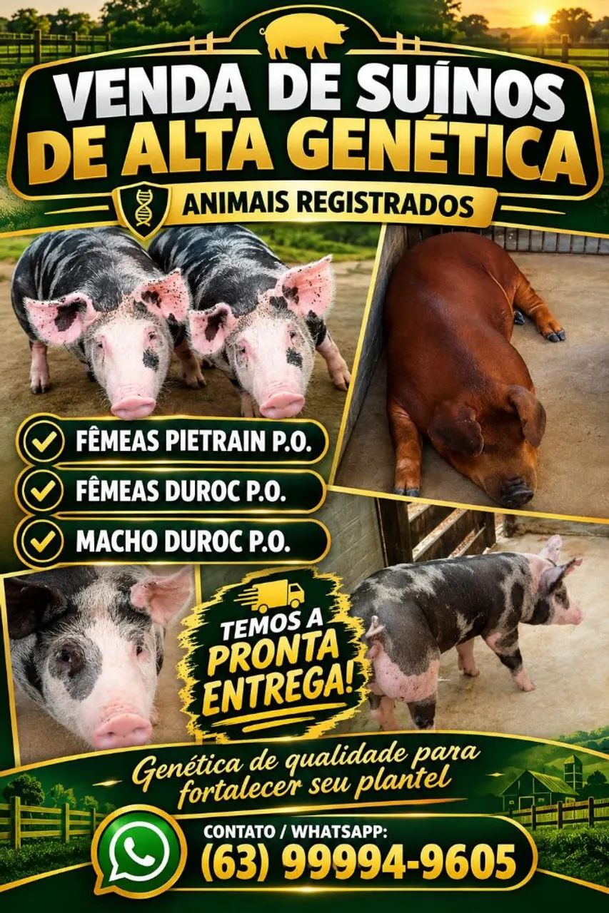 PORCOS