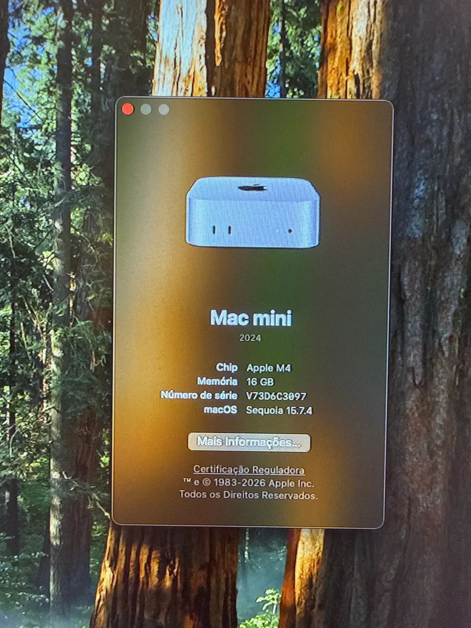 Mac mini M4 16GB 256GB + Magic Keyboard Touch ID - Foto 2