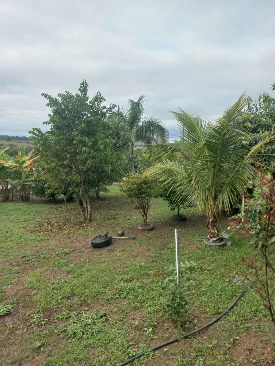 Imóvel para venda - Porangaba - SP - Foto 2