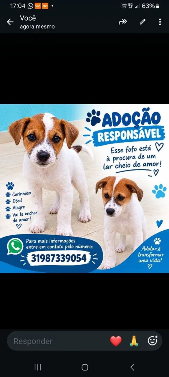 Doação responsável 