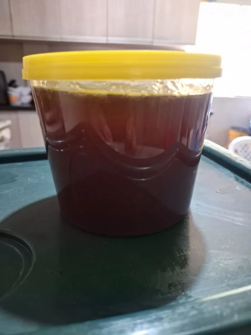 Mel Puro Silvestre de São Joaquim - Foto 4