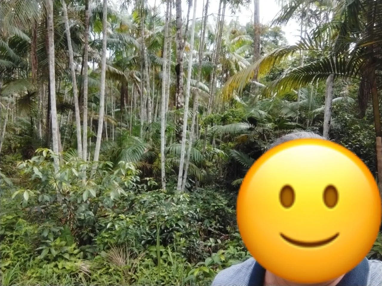 VENDO TERRENO EM BUJARU - Foto 5