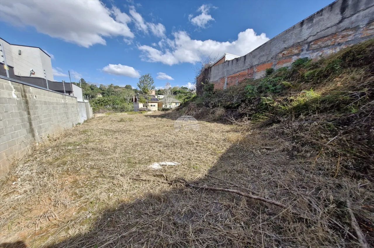Vendas Terreno Curitiba PR - Foto 5