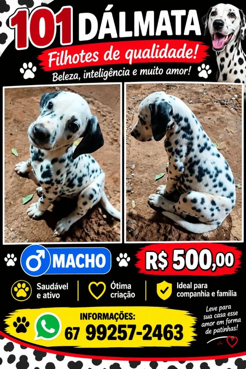 Filhote 101 dálmata 