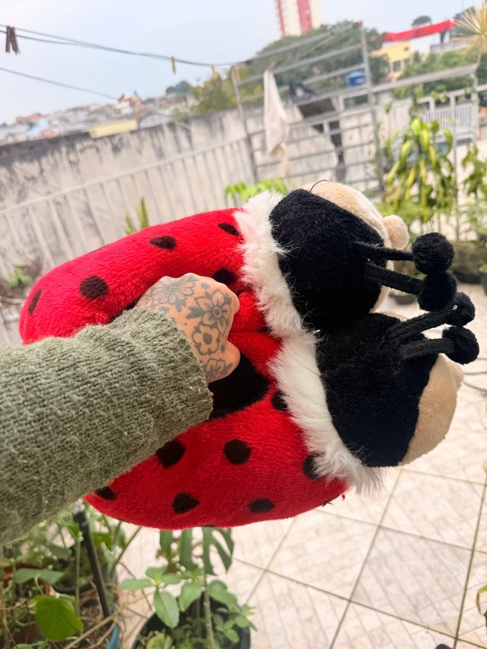 Pantufa  - Foto 2