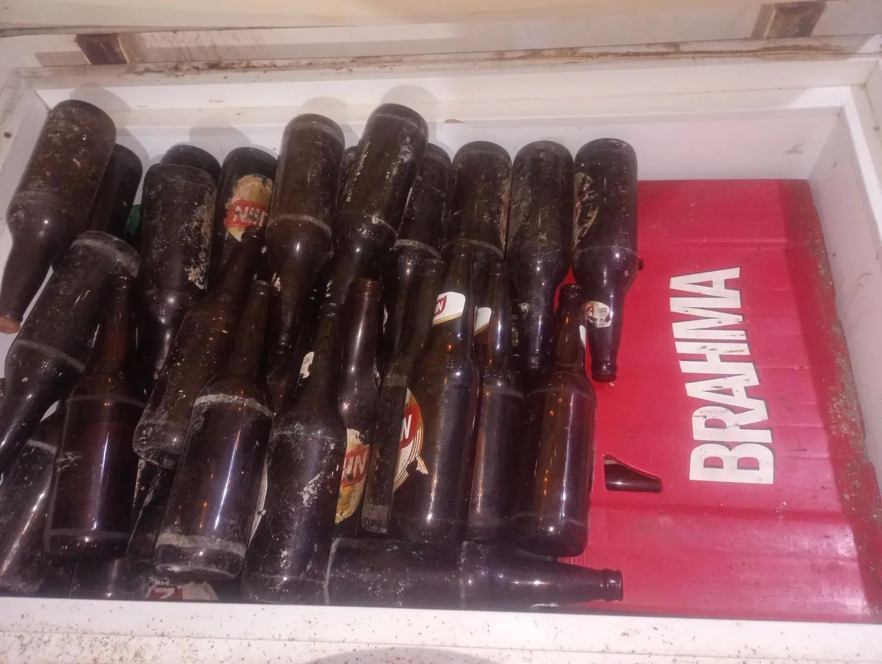 Garrafa e Caixas de cerveja 600ml - Foto 2