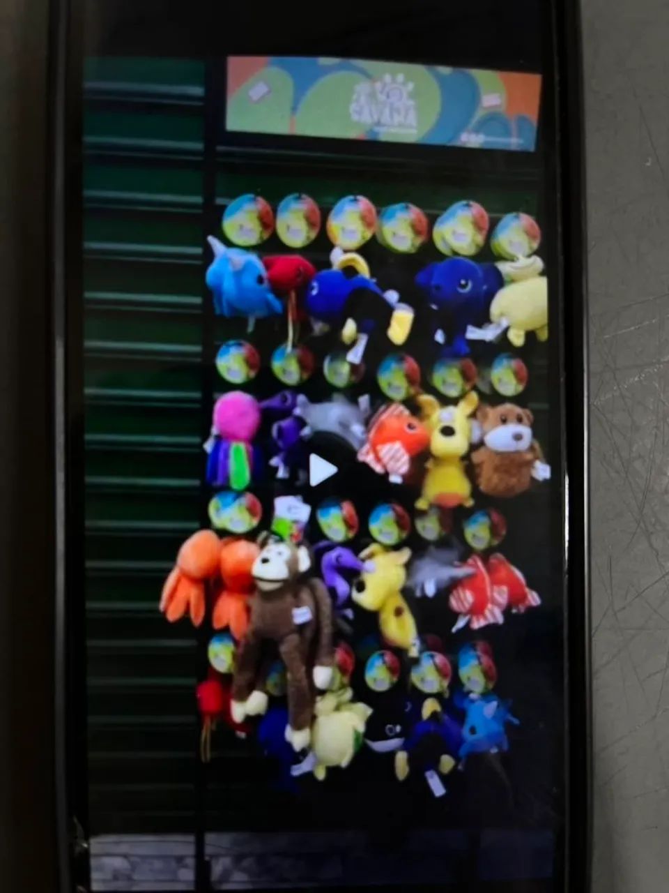 Móveis e acessórios para petshop