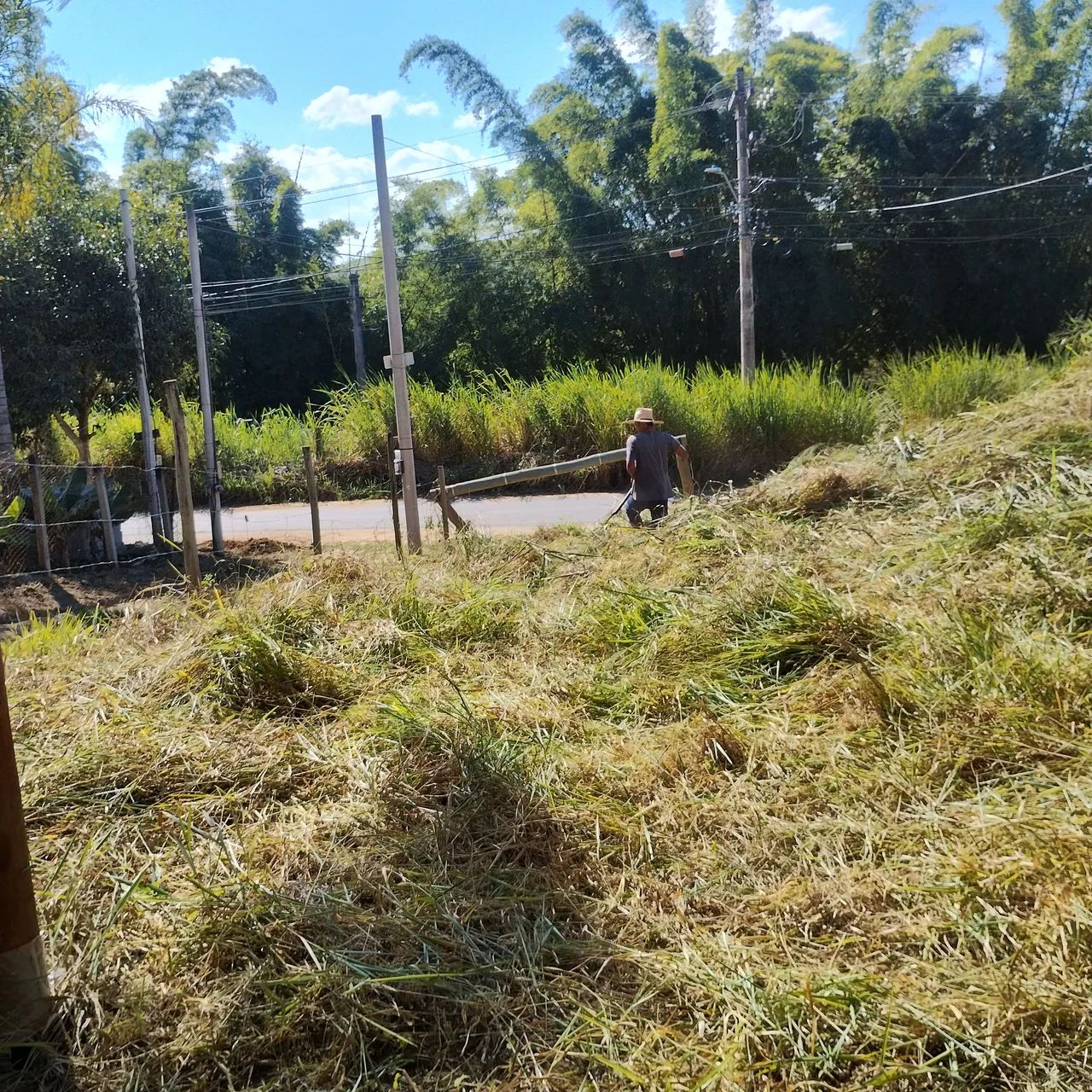 Terreno em Vargem Alegre - Foto 4