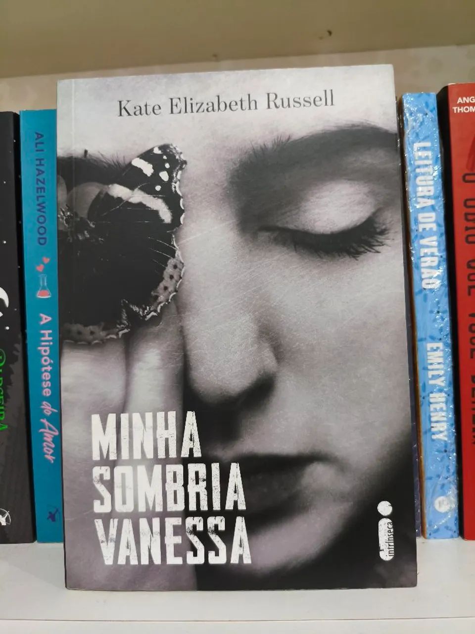Minha sombria Vanessa