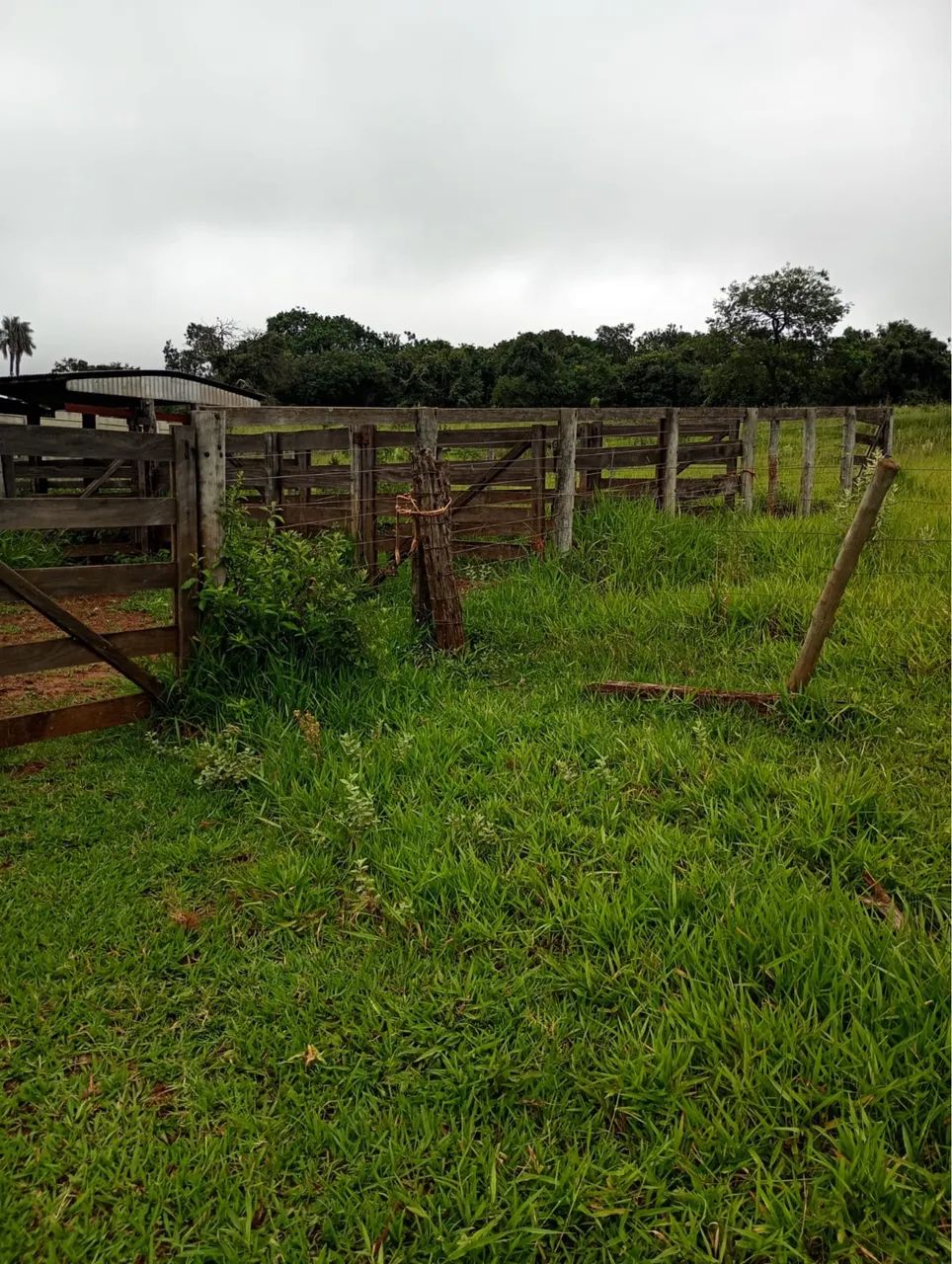 Fazenda pra pecuária em campina verde  - Foto 5