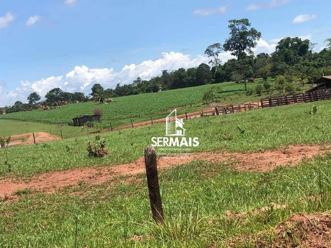 Fazenda de Dupla Aptidão em Alta Floresta - Foto 4