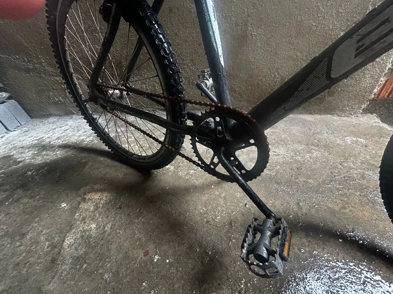  BIKE. ECOS 26 XT 100  - Foto 2