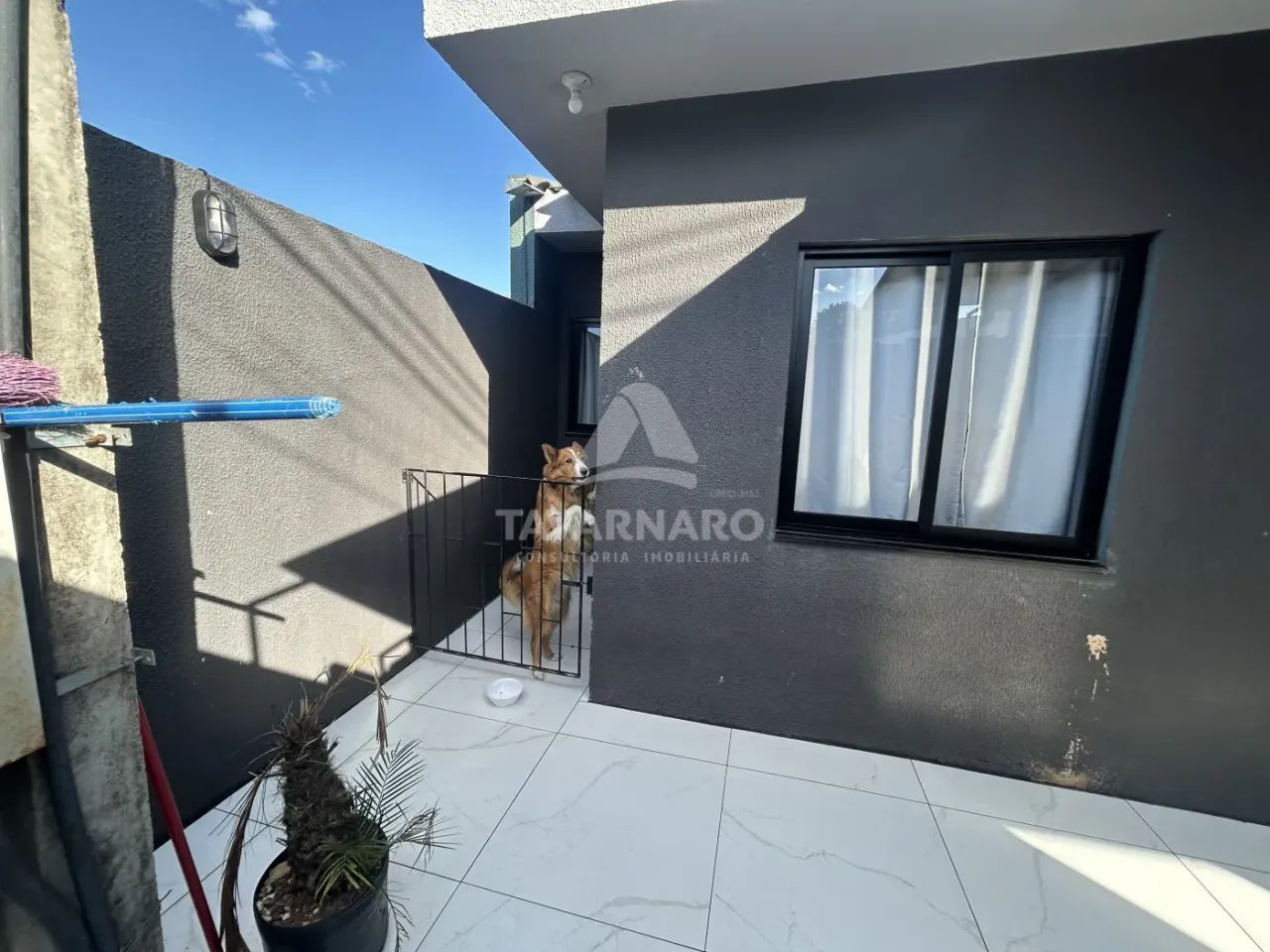 Casa Padrão em Ponta Grossa - Foto 2