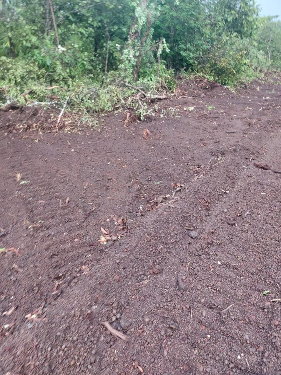Oportunidade 302 Alqueires divide com lavoura região nobre  - Foto 4