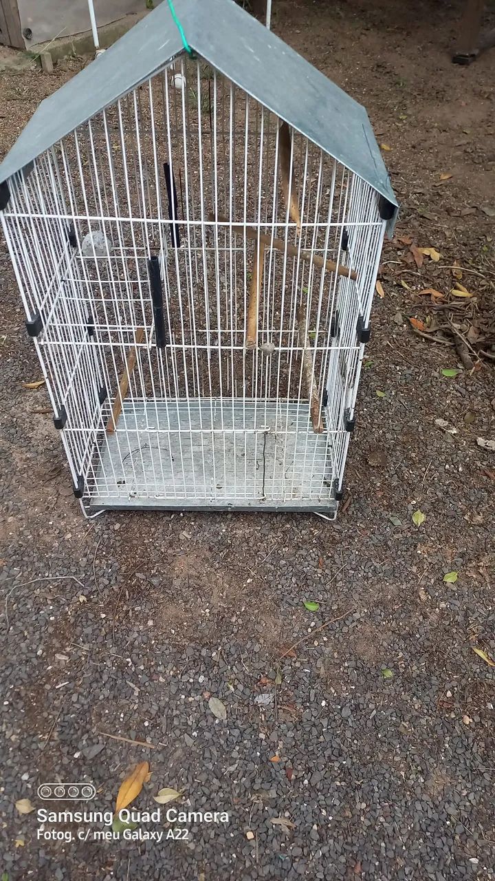 Vendo gaiola  - Foto 3