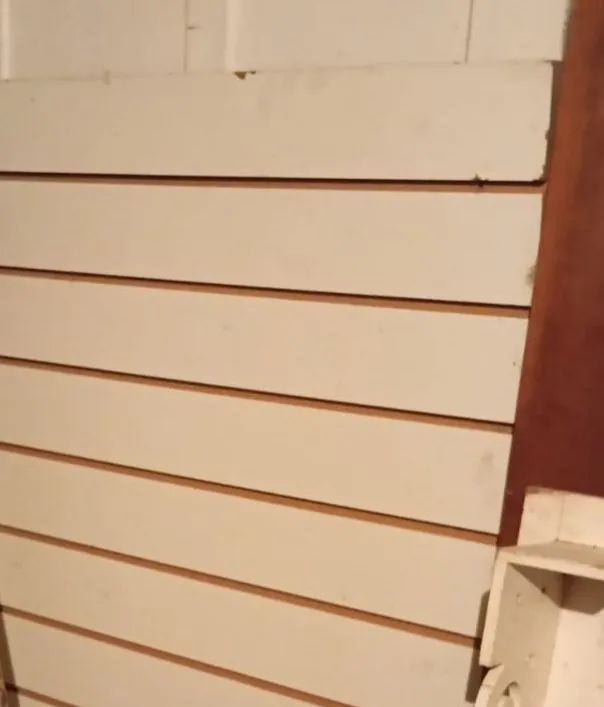 Itens de pet shop roupas e acessórios 200,00 ? painel canelado  para loja 150 ? - Foto 3