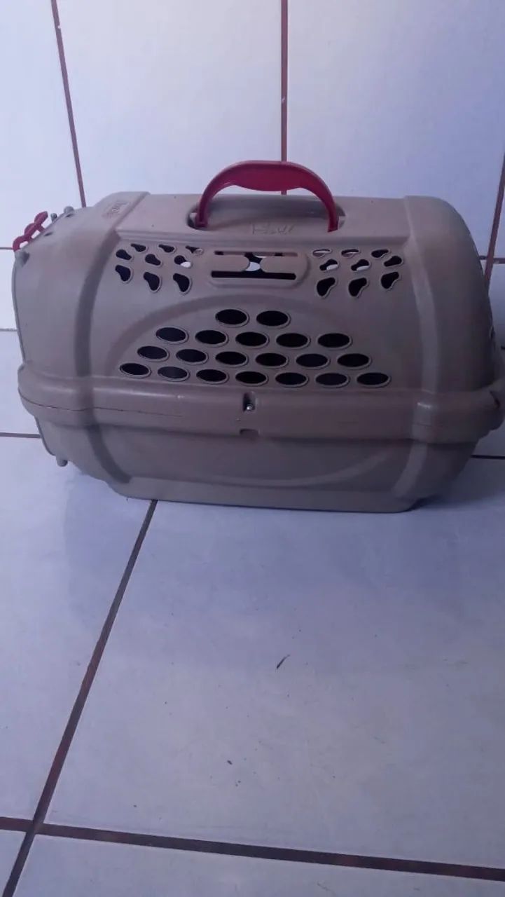 Caixa transporte Gatinhos - Foto 2