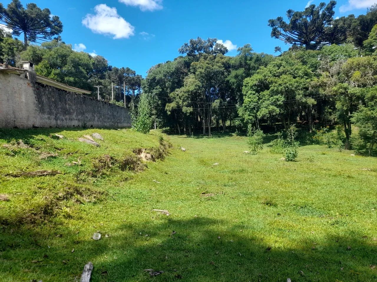 Chácara em mandirituba  - Foto 5