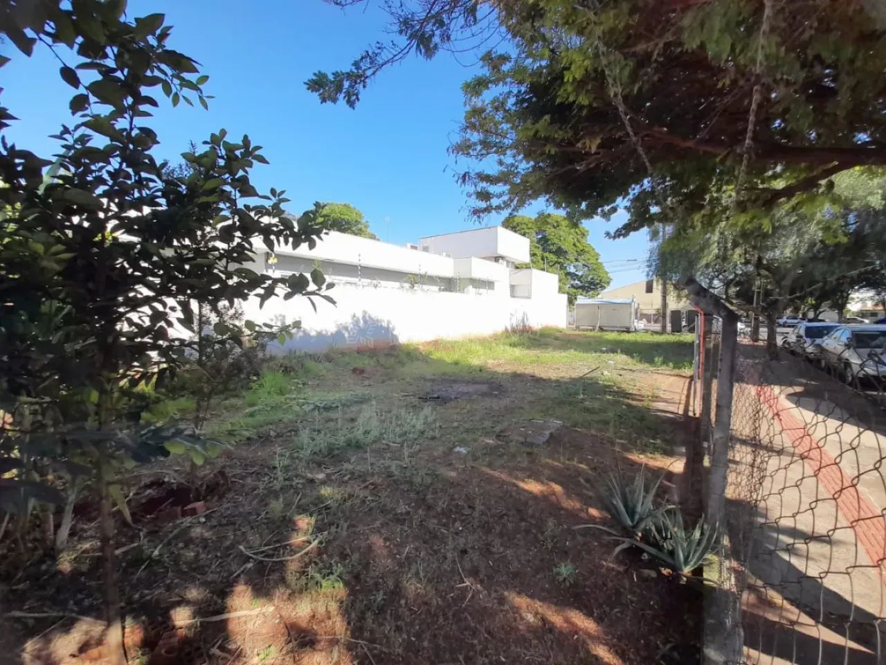 Terreno Comercial - Jardim América - Foto 5