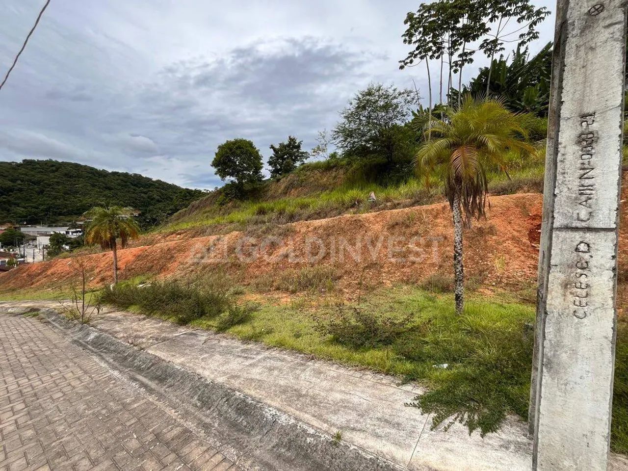 Terreno à venda, Bateas - Brusque/SC - Foto 5