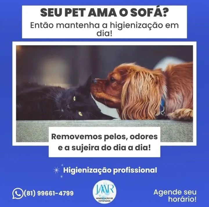 Higienização de estofados  - Foto 4