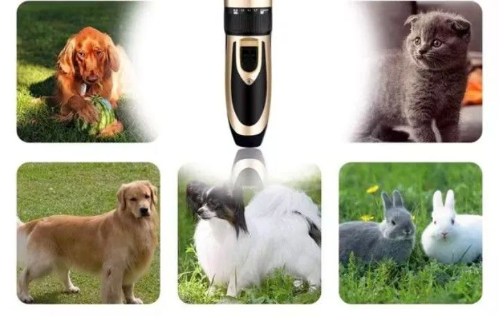 Kit máquina para tosar pet+tesoura+pente+lixa  - Foto 2