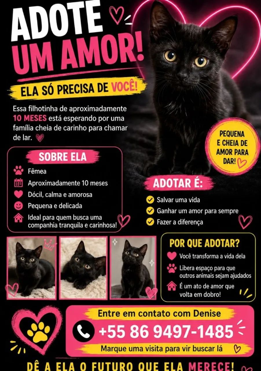 Doa se Gatinha 