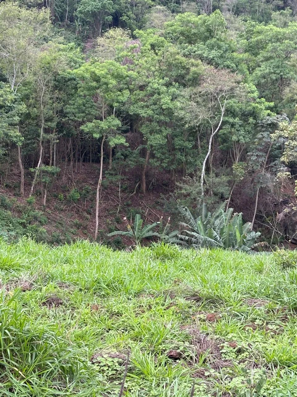 Terreno em Boa Vista - Foto 2