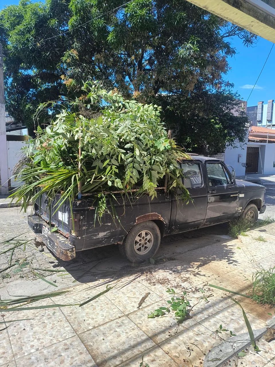 Retirada de móveis velhos pra descate - Foto 2
