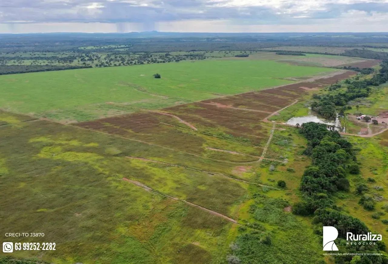 OPORTUNIDADE | 400 HA CONSOLIDADOS | ENTRADA + PRAZO - Foto 3