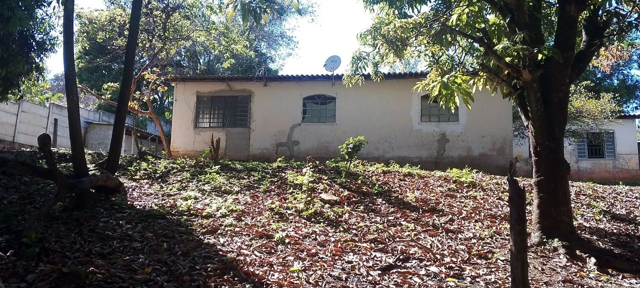 Sítio à Venda - Natureza, Frutas e Tranquilidade - Foto 5