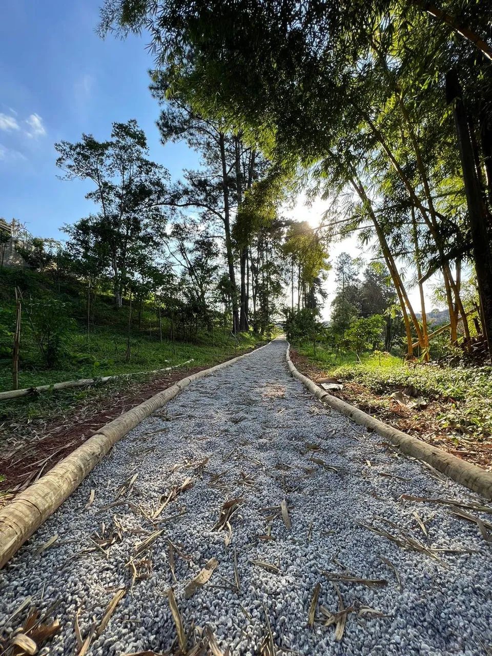 Terreno à venda, Parque Alexandre, Cotia, SP - Foto 2