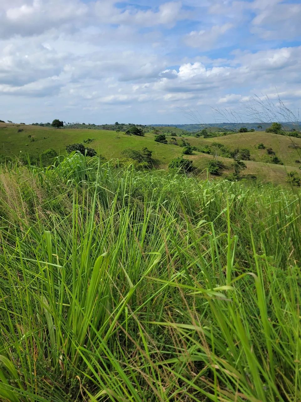 Fazenda em Conceição do jacuipe - Foto 4