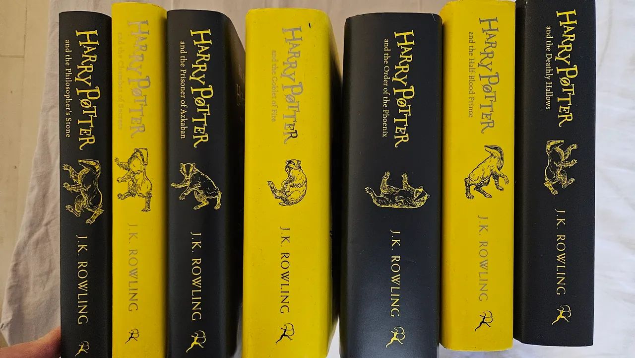 Coleção Harry Potter House Edition- especial de 20 anos