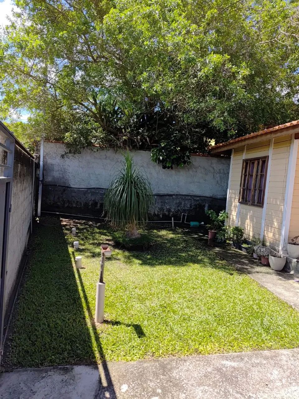 Foto - Piraí - Arrozal