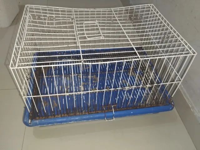 Gaiola - Foto 3
