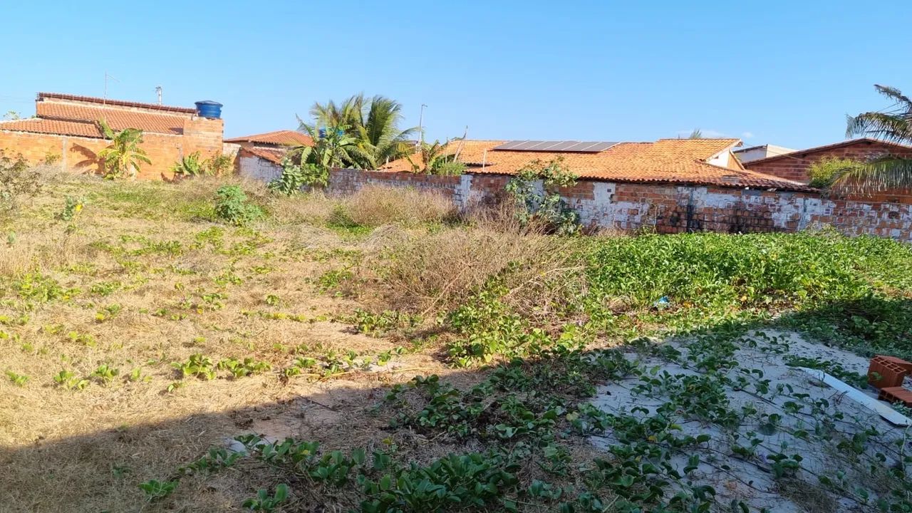 OFERTA - TERRENO LUIS CORREIA-PI - Foto 5
