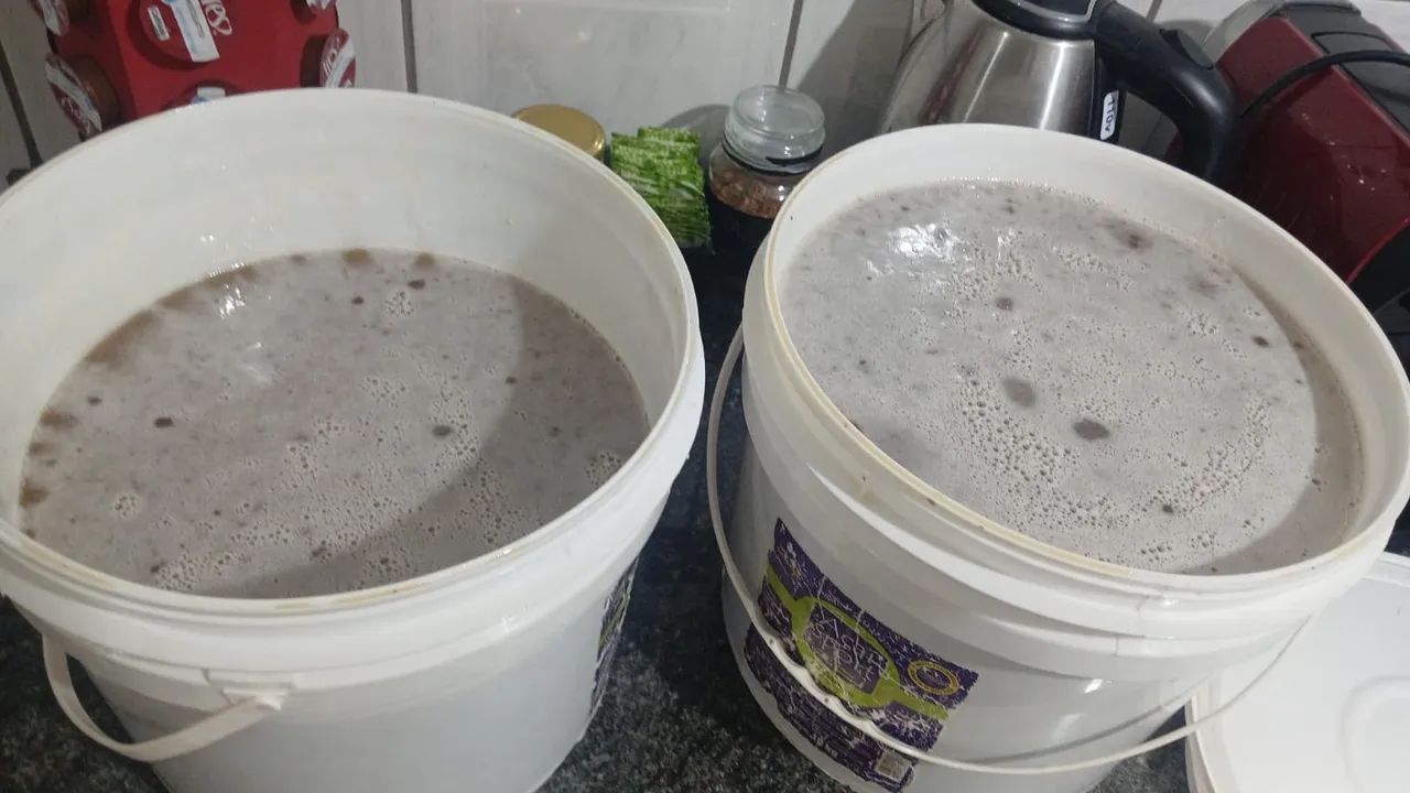 VENDO MEL DE ABELHA EUROPA 100% PURÍSSIMO ( ATACADO E VAREJO)  - Foto 2