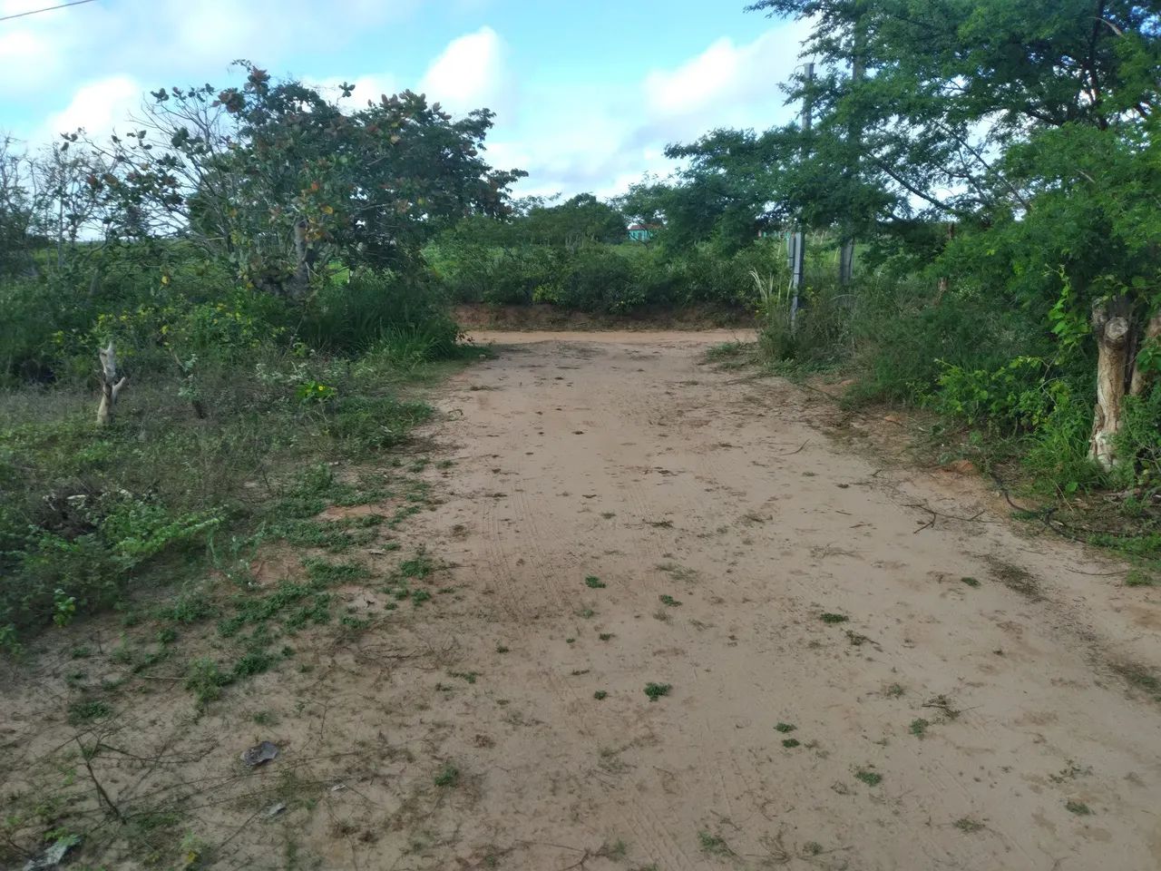 Vendo Sitio... - Foto 5