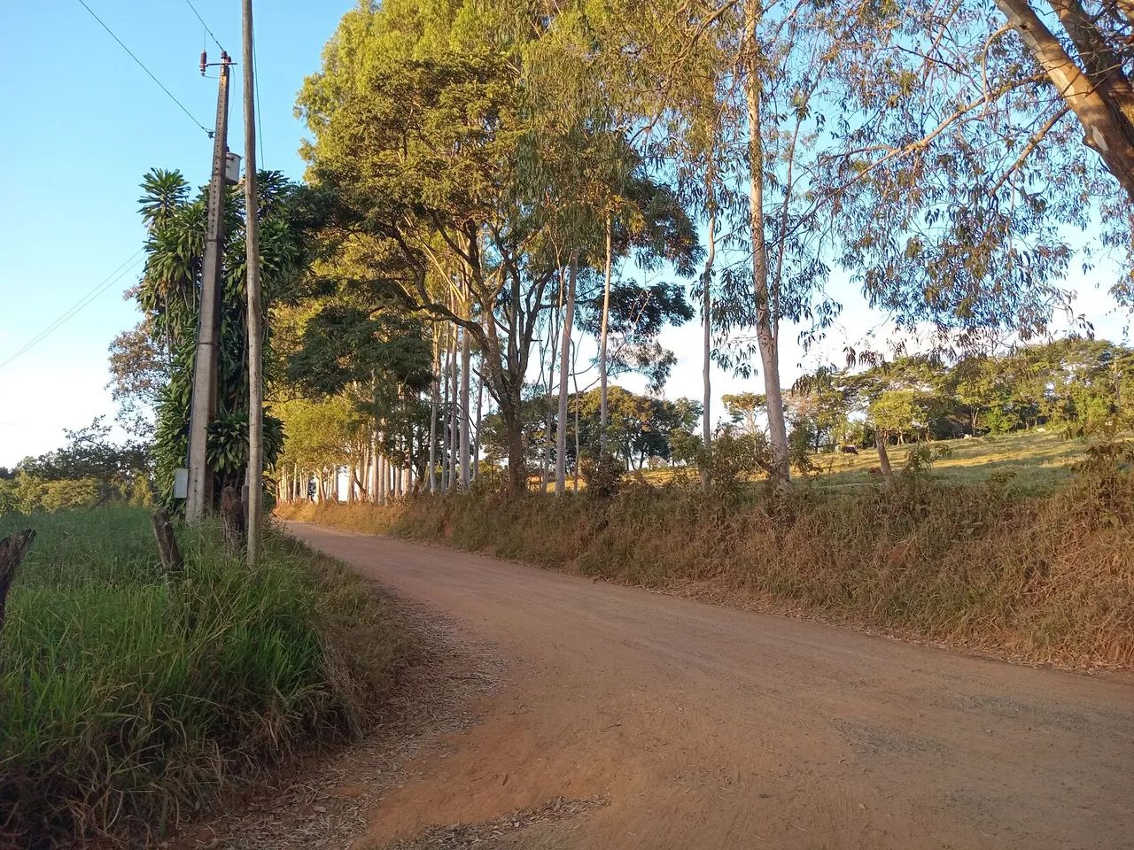 Lote com alicerce pra uma casa  - Foto 4