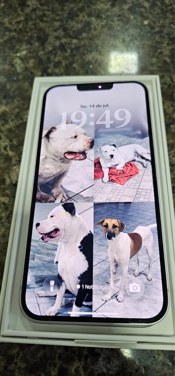 iPhone 
