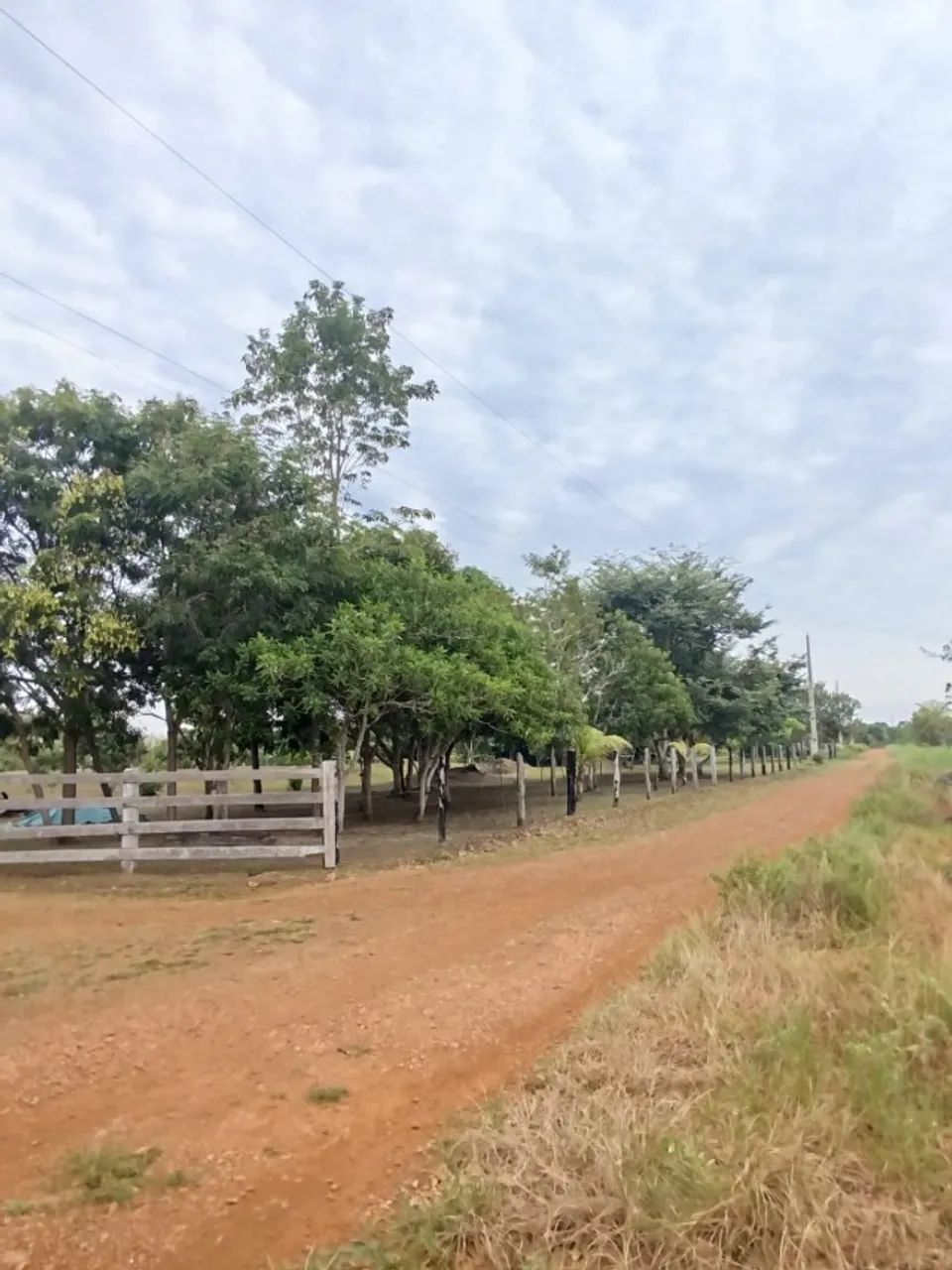  ? O verdadeiro paraíso para quem busca tranquilidade, produção rural e qualidade de vida - Foto 3