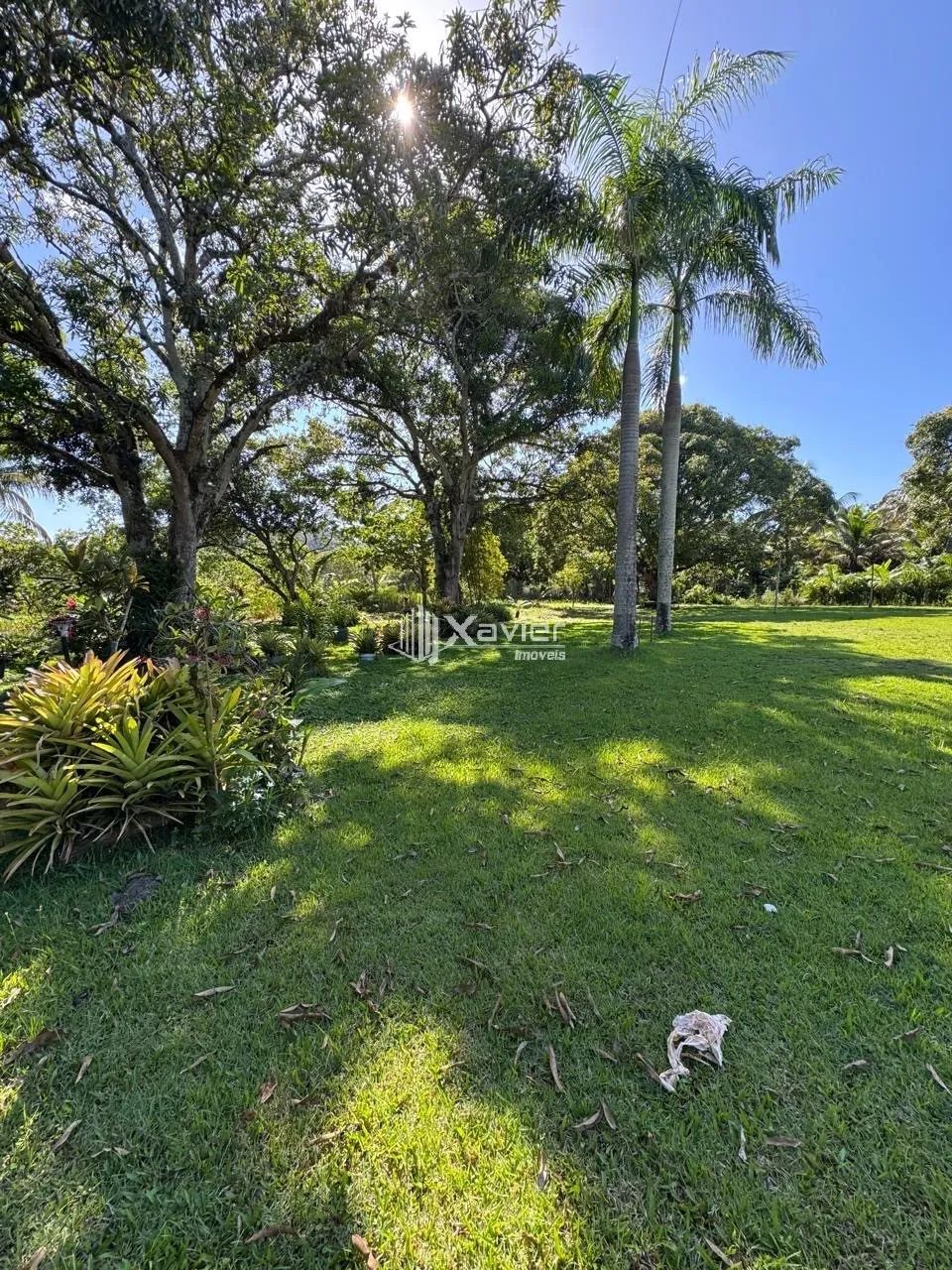 Chácara Escriturada com 6.500 m², Nascente, 2 Lagoas e Árvores Frutíferas à Venda no Jabar - Foto 5