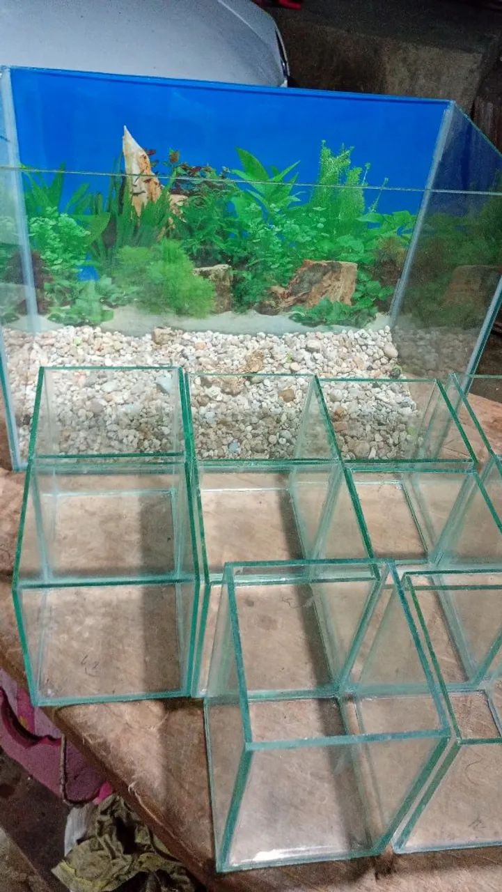 aquário