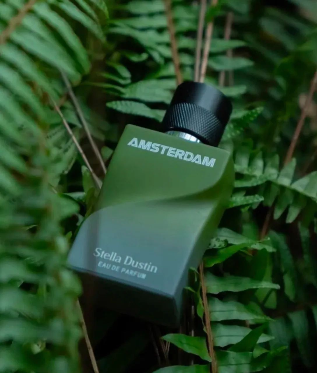 Perfume Stella Dustin - Foto 2